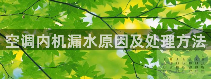 环球360官网会员注册账号密码