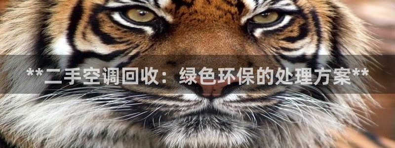 360环球管理